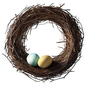 Rustic Bird Nest PNG Mkj