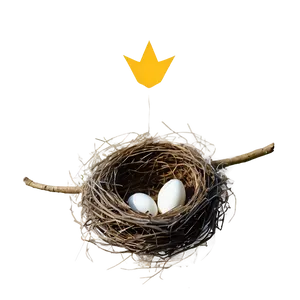 Rustic Bird Nest PNG Nlp