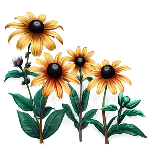 Rustic Black Eyed Susan Field Png 06282024 PNG image