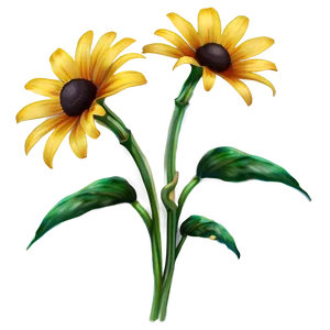 Rustic Black Eyed Susan Field Png 06282024 PNG image