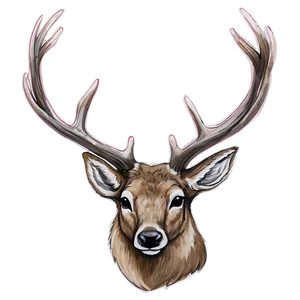 Rustic Buck Sketch PNG 26