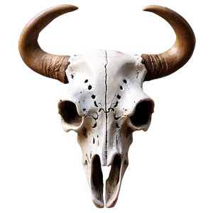 Rustic Bull Skull Art PNG 55 PNG