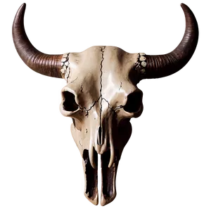 Rustic Bull Skull Art PNG Bpe PNG