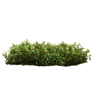 Rustic Bush Png 76 PNG image