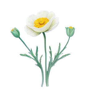 Rustic Buttercup PNG 25