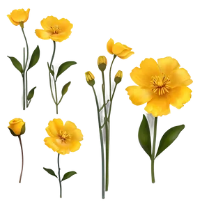 Rustic Buttercup Png Afp10 PNG image