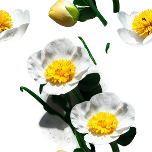 Rustic Buttercup PNG Nym
