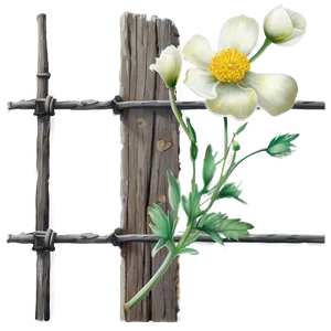 Rustic Buttercup PNG Ydp