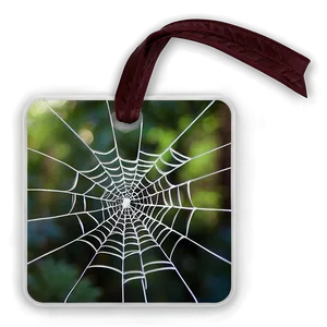 Rustic Cobweb Charm PNG Wvv22