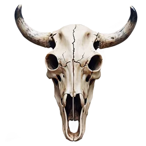 Rustic Cow Skull Design Png 86 PNG image