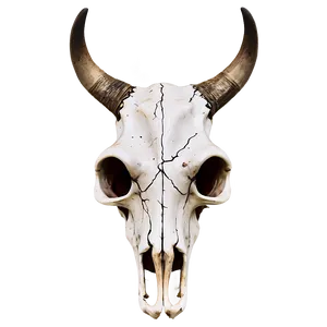 Rustic Cow Skull Design Png Our PNG image