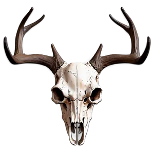 Rustic Deer Skull Design Png 06132024 PNG image