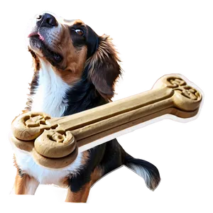 Rustic Dog Bone PNG 05252024 PNG