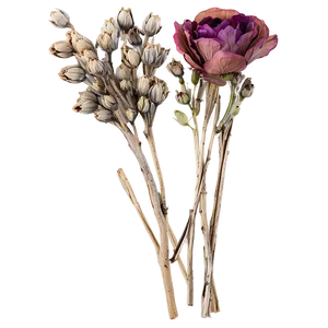 Rustic Dry Flowers PNG Nyn39