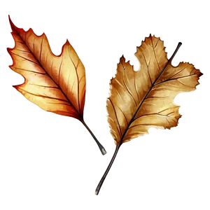 Rustic Fall Leaf Png 28 PNG image