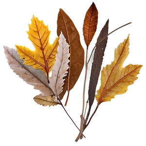 Rustic Fallen Leaves Arrangement Png 06292024 PNG image