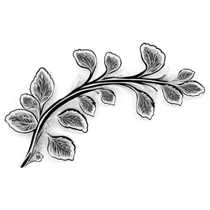 Rustic Flower Black And White Png 3 PNG image
