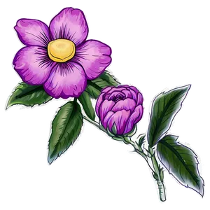 Rustic Flower Drawing PNG 06252024