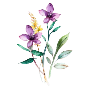 Rustic Flower Watercolor PNG Dfr