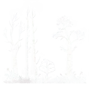Rustic Forest Silhouette PNG 65 PNG