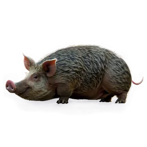 Rustic Hog Png Jwx3 PNG image