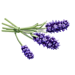 Rustic Lavender Bunch Png Gqm PNG image