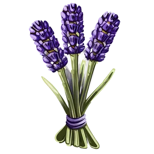 Rustic Lavender Bunch Png Ydn PNG image