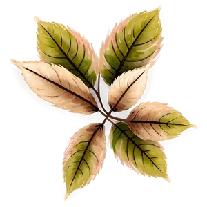 Rustic Leaves PNG Iup