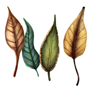 Rustic Leaves PNG Tym