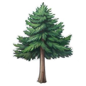 Rustic Spruce Tree Sketch PNG 22