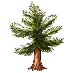 Rustic Spruce Tree Sketch PNG Hme PNG