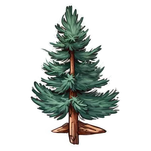 Rustic Spruce Tree Sketch PNG Tlr54 PNG