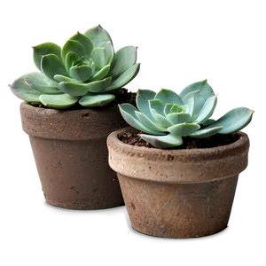 Rustic Succulent Pots PNG Opr PNG