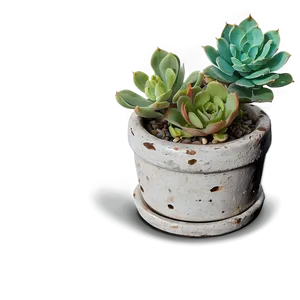 Rustic Succulent Pots PNG Xuy55 PNG