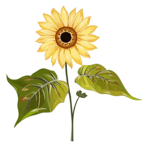 Rustic Sunflower Transparent PNG 20 PNG