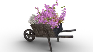 Rustic Wheelbarrowwith Flowers