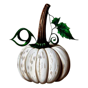 Rustic White Pumpkin PNG 73