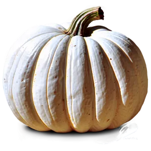 Rustic White Pumpkin PNG Yji