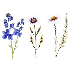 Rustic Wildflower Collection Png Qll74 PNG image