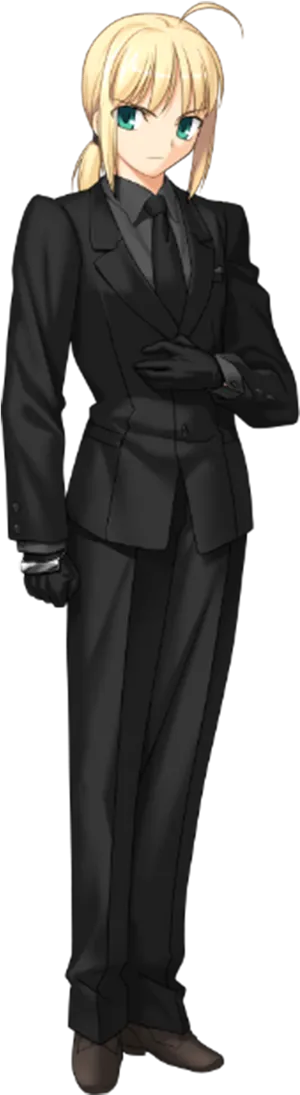 Saberin Suit Fate Series PNG image