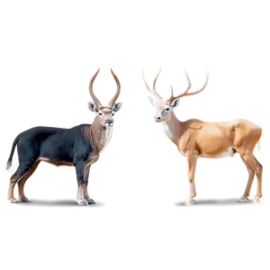Sacred Animals PNG Dku32 PNG