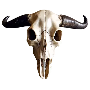 Sacred Cow Skull PNG Jdc1 PNG