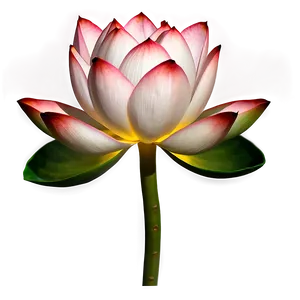 Sacred Lotus PNG 11