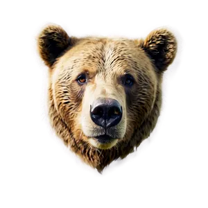 Sad Bear Face PNG Csm PNG