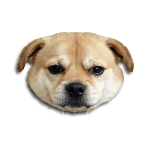 Sad Dog C PNG image