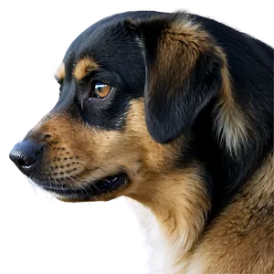 Sad Dog Transparent PNG Gxc20 PNG