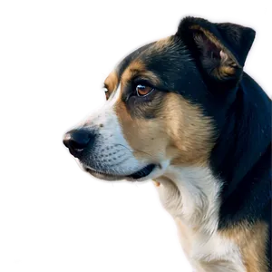 Sad Dog Transparent PNG Mlq36 PNG