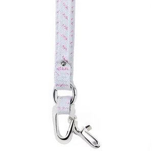 Safety Dog Leash PNG 06132024