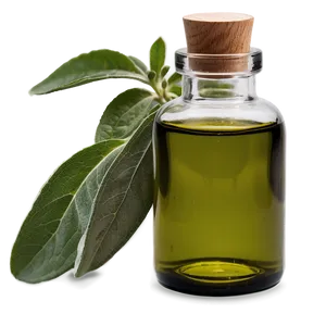 Sage Essential Oil PNG 06292024