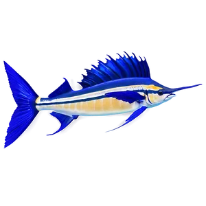 Sailfish And Coral Reef Png 06262024 PNG image